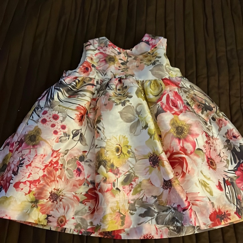 Fancy party dress for little girl. Size 9M. Fits more like 12M.